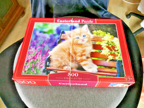 Puzzle ginger kitten - ginger,