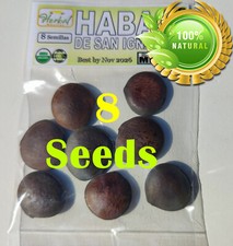 Haba o Semilla de San Ignacio