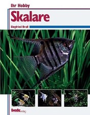 Skalare, Ihr Hobby Siegfried