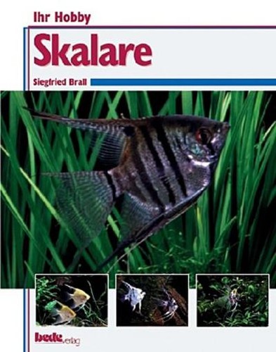 Skalare ihr hobby - hobby, siegfried