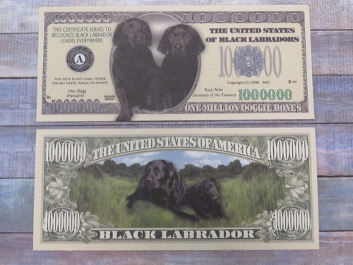 Million dollar souvenier - million,