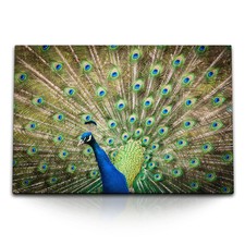 120x80cm wandbild auf - auf, leinwand