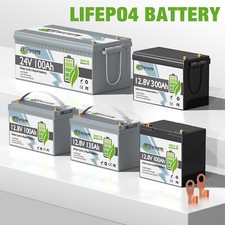 LiFePO4 Akku 12V/24V 100Ah