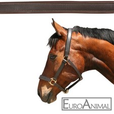 Leder-Halfter Pferdehalfter