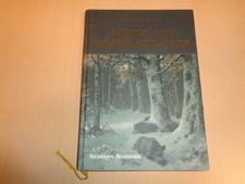 2013 ANSITZ AUF GRAUE SCHATTEN v. H. Hoffmann Saujagd Schwarzwild Jäger Jagdbuch