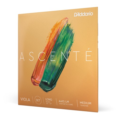 Addario ascenté viola - ascenté,
