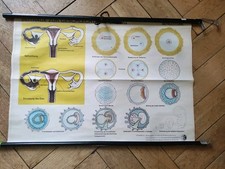 Schulwandkarte Rollkarte