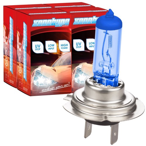Xenon look xenohype - xenon,