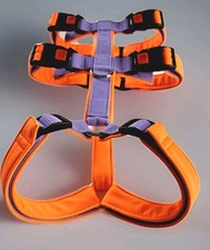 Hunde Sicherheitsgeschirr |