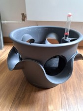 Lechusa Hängetopf, Pflanzen-Ampel