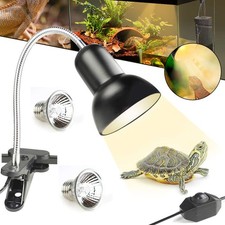 Aquarium Schildkröte