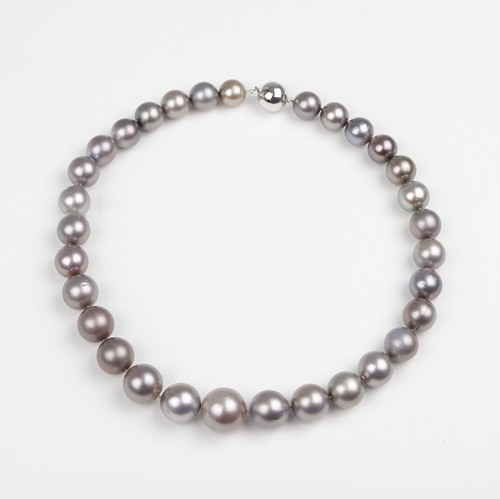Zuchtperl tahiti grau collier - grau,