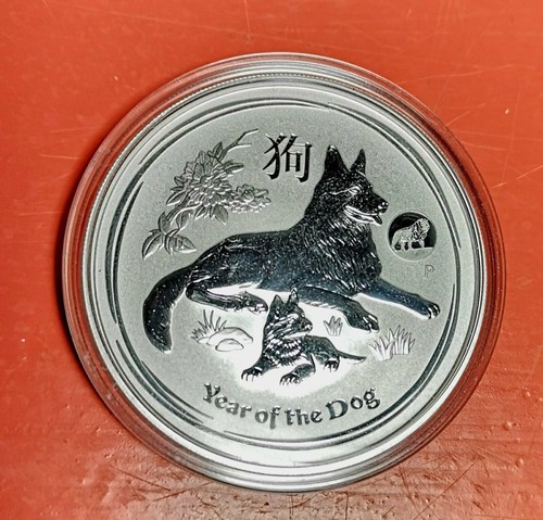 Schäferhund year the - -, dog