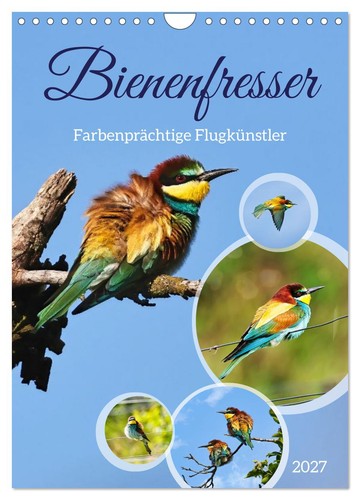 Bienenfresser