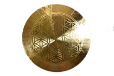 Feng-Gong/Wind-Gong Blume des