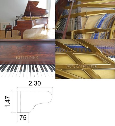 Blüthner konzertflügel 230cm - konzertflügel,