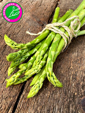 GRÜNER SPARGEL  💚 Mary