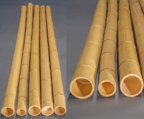 2er set bambusrohr gelb moso - 2er,