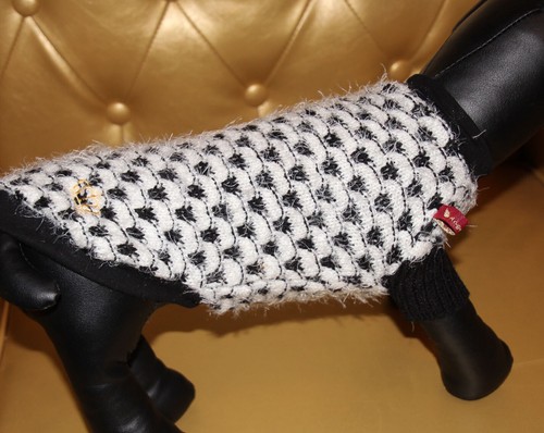 9347_Angeldog_Hundekleidung_Hu