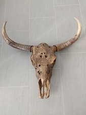 Deko Schädel Stierkopf Bulle