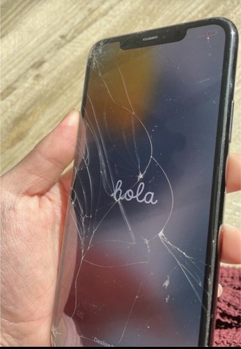 Apple iphone pro max 256gb - 11,