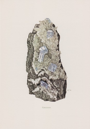 Coelestin cölestin - coelestin,