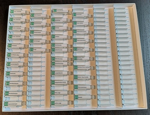 Dts testkasten anatomie - –,