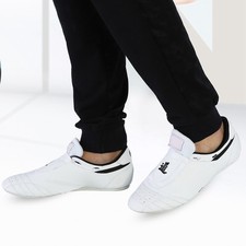 Tai Chi Martial Arts Boxen