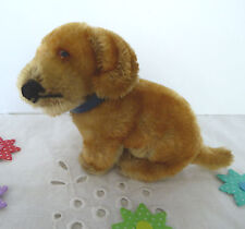 Wunderschöner Steiff Hund Jungdackel Dackel Dachshund Bazi Halsband, 10cm  