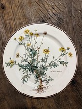 Villeroy & Boch Botanica - 8