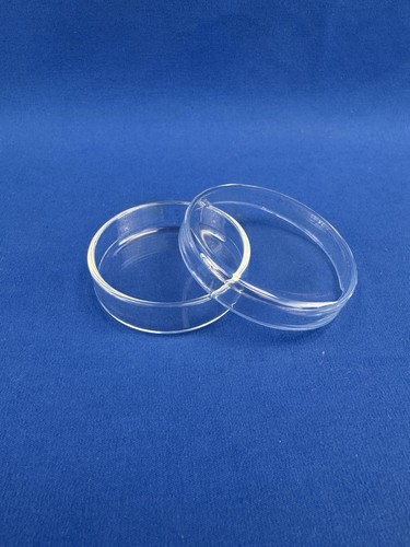 Petrischale mm glas - 15,