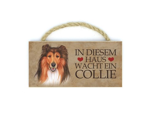 Collie haustier - ,