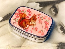 Rotes Eichhörnchen auf Rosa -