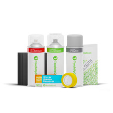 Genesis Touch Up Paint by