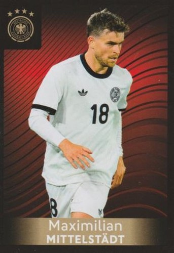 Panini family ferrero dfb 2026 - family,