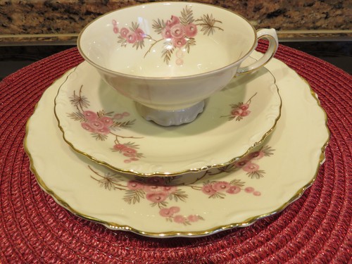 Sammeltasse gedeck mit - sammeltasse,