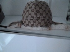 Original GUCCI  Winterkappe
