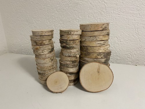 41x 14cm birkenscheiben - 9-14cm,