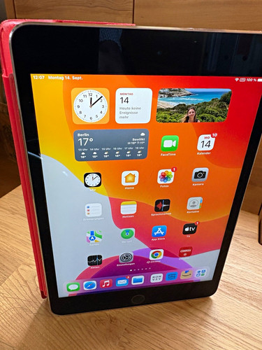 Apple ipad mini - grau,, sehr