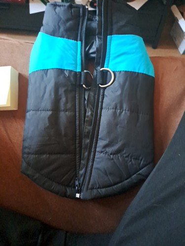Wintermantel für hunde - für, blau