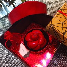 Brosche  Kamelie und Haarband