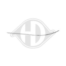 1x Zier-/Schutzleiste