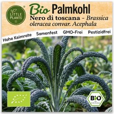 Palmkohl samen 75 - (bio),