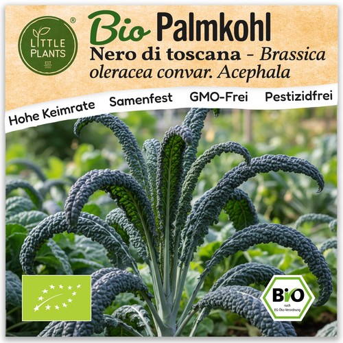 Palmkohl samen 75 - palmkohl,
