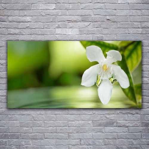 Glasbilder wandbild druck auf - druck,