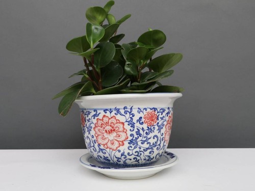 China porzellan blumentopf - porzellan,