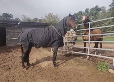 Bucas 130 Black/Gold