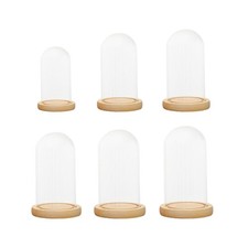 Glockenglas mit Glaskuppel