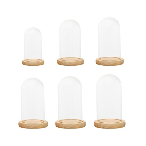 Glockenglas mit glaskuppel - glockenglas,