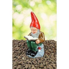 Heissner Wilhelm Sammler-Zwerg